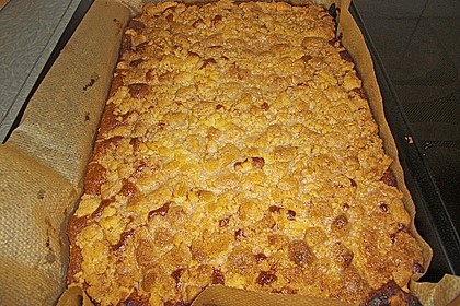 250er Thüringer Streuselkuchen 45