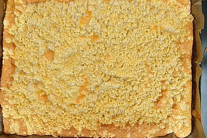 250er Thüringer Streuselkuchen 62