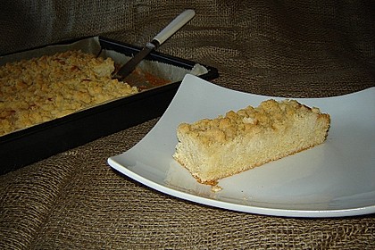 250er Thüringer Streuselkuchen 5