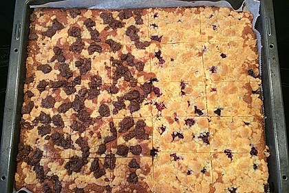 250er Thüringer Streuselkuchen 16