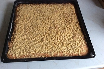 250er Thüringer Streuselkuchen 48