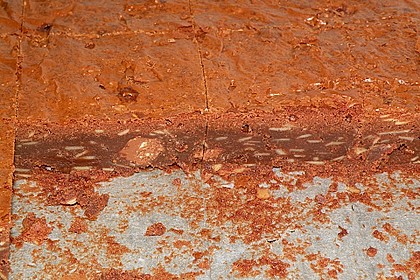 Toblerone Brownies, f&uuml;r echte Naschkatzen
