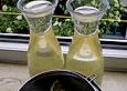 Bl&uuml;mchensaft
