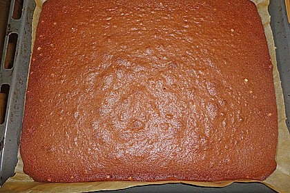 Schwedischer Schokoladenkuchen 4