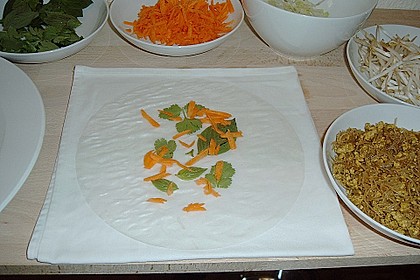 Vietnamesische Sommerrollen im Thai Style - Gl&uuml;cksrollen 1