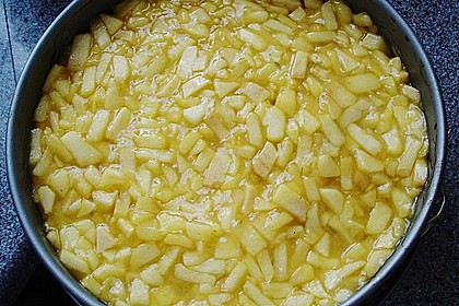 Apfeltorte mit Pudding - Eierlik&ouml;r - Guss 28