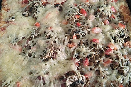 Pizzateig 6