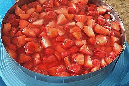 Erdbeerkuchen 5
