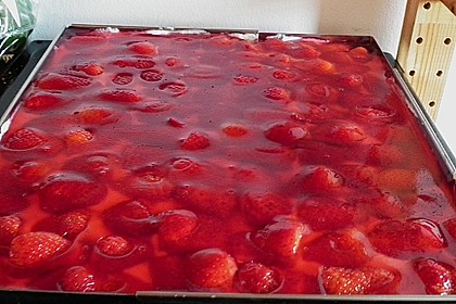 Erdbeerkuchen 10