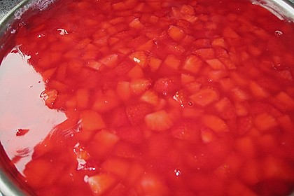 Erdbeerkuchen 17