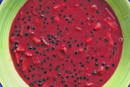 Hollerr&ouml;ster