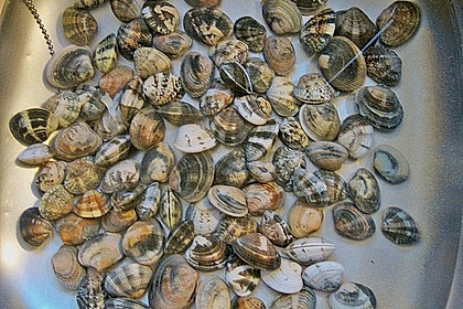 Spaghetti alle Vongole 1