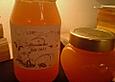 Mandarinen - Marmelade