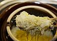 Sauerkraut