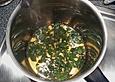 Stevia - Auszug