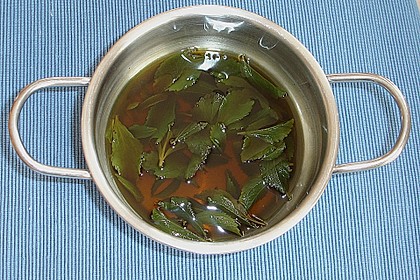 Stevia - Auszug 4