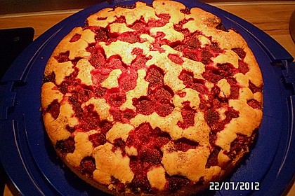 Rhabarberkuchen 28