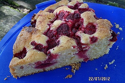 Rhabarberkuchen 29