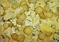 Allerbester Kartoffelsalat mit Delikatessgurken