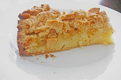 Apfelkuchen mit Butterstreusel 14