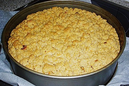 Apfelkuchen mit Butterstreusel 30
