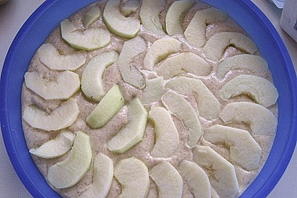 Apfelkuchen mit Butterstreusel 32