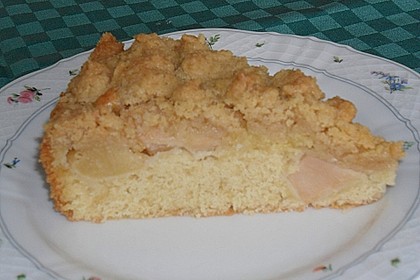 Apfelkuchen mit Butterstreusel 36