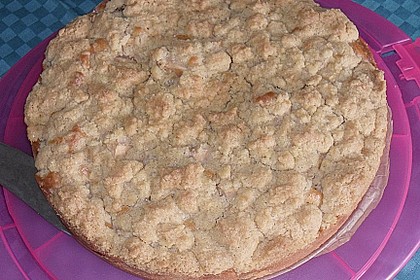Apfelkuchen mit Butterstreusel 37