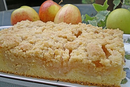 Apfelkuchen mit Butterstreusel 38