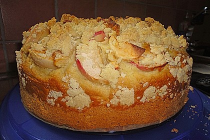 Apfelkuchen mit Butterstreusel 40