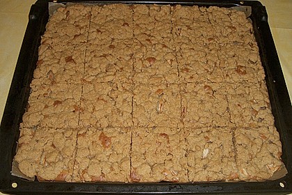 Apfelkuchen mit Butterstreusel 44