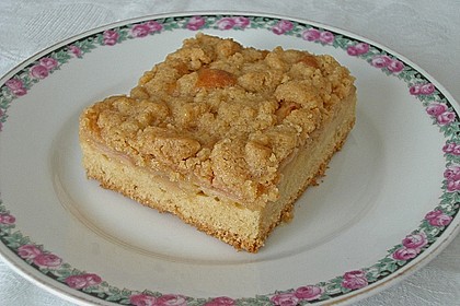 Apfelkuchen mit Butterstreusel 45