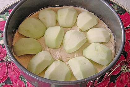 Apfelkuchen mit Butterstreusel 47