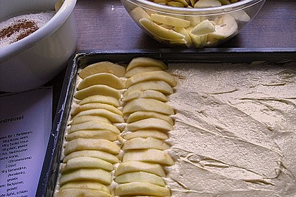 Apfelkuchen mit Butterstreusel 56