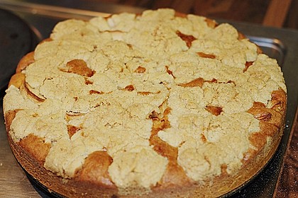 Apfelkuchen mit Butterstreusel 60
