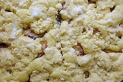 Schneller Nektarinen - Kuchen mit Streuseln 2