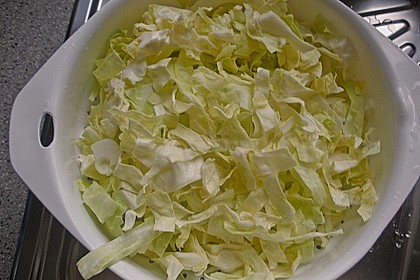 Spitzkohl nach Grassi 9