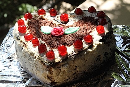 Saftiger Schokoladenkuchen 8