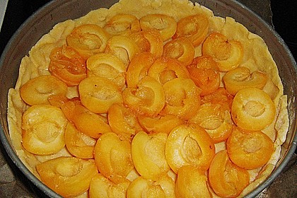 Aprikosenkuchen 6