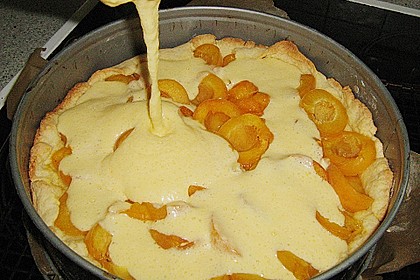 Aprikosenkuchen 7