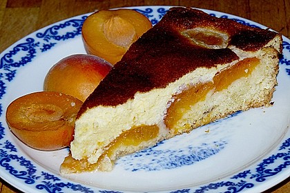 Aprikosenkuchen 5