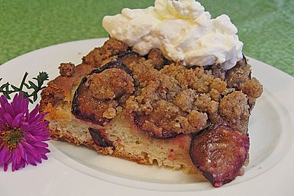 Zwetschgenkuchen mit Nuss - Streuseln und Hefeteig 6