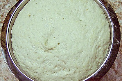 Schw&auml;bische Laugenbr&ouml;tchen 7