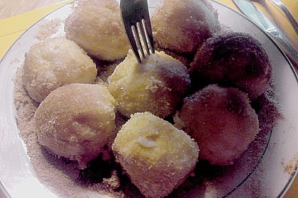 Marillenkn&ouml;del 14