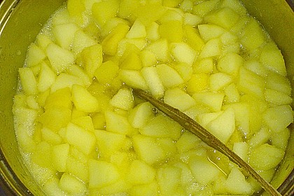 Apfelkompott 11