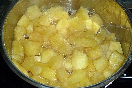 Apfelkompott 9