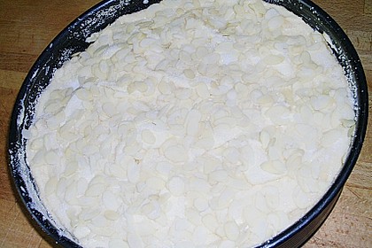 Apfelkuchen 32