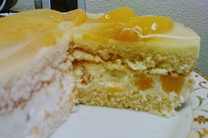 Dessert - Kuchen / Torte aus Quark, Joghurt und Obst auf 3-schichtigem Biskuitboden 4
