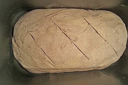 Burgis Walnussbrot mit Sauerteig 63