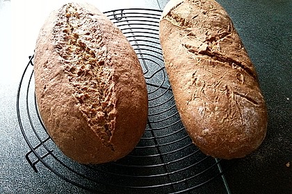Burgis Walnussbrot mit Sauerteig 44